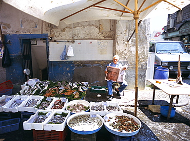 Fish stall, Naples, Campania, Italy, Europe