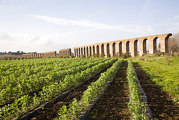 Felice Aqueduct, along the Via Appia (Appia road), Rome, Lazio, Italy, Europe