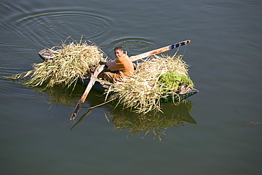 Transporting reeds along the Nile, near Aswan, Egypt, North Africa, Africa