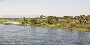 Life along the River Nile, near Aswan, Egypt, North Africa, Africa