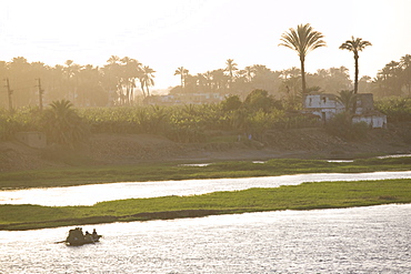 Life along the River Nile, near Aswan, Egypt, North Africa, Africa