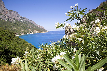 The blue sea at Santa Maria Navarrese, Gulf of Orosei, Sardinia, Italy, Mediterranean, Europe