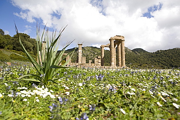 The Punic temple of Antas, Sardinia, Italy, Europe