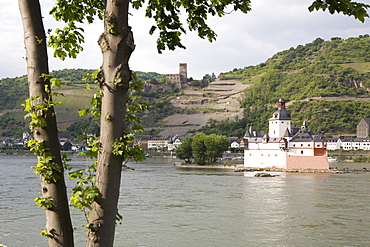 Pfalzgrafenstein castle along the River Rhine, Rhineland-Palatinate, Germany, Europe