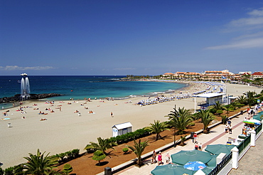 Playa de las Americas, Tenerife, Canary Islands, Spain, Atlantic, Europe