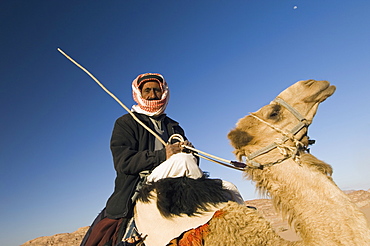 Bedouin on camel in the desert, Wadi Rum, Jordan, Middle East