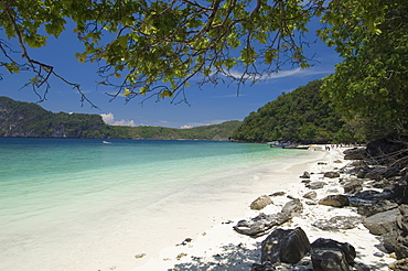 Yong Kasem beach, known as Monkey Beach, Phi Phi Don Island, Thailand, Southeast Asia, Asia