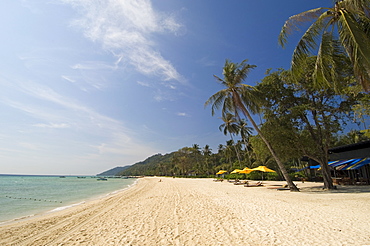 Laem Tong beach, Phi Phi Don Island, Thailand, Southeast Asia, Asia