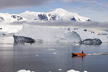 Neko Harbor, Gerlache Strait, Antarctic Peninsula, Antarctica, Polar Regions