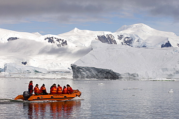 Neko Harbor, Gerlache Strait, Antarctic Peninsula, Antarctica, Polar Regions