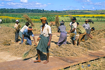 Farm workers, road to Pindaya, Shan State, Myanmar (Burma), Asia