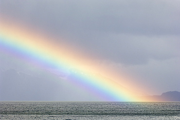 Rainbow, Agostini Fjord, Tierra del Fuego, Patagonia, Chile, South America