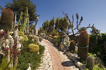 Botanic garden (Jardin Exotique), Eze village, Alpes Maritimes, Provence, Cote d'Azur, France, Europe