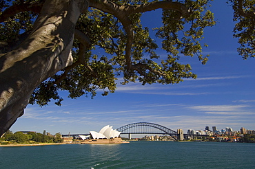 Opera House and Harbour Bridge, Sydney, New South Wales, Australia, Pacific