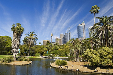 Royal Botanic Gardens, Sydney, New South Wales, Australia, Pacific