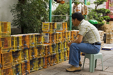 Bird Garden market, Mong Kok district, Kowloon, Hong Kong, China, Asia