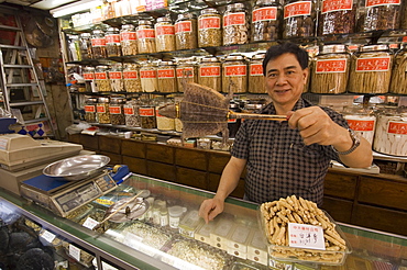 Traditional Chinese medicine, Mong Kok district, Kowloon, Hong Kong, China, Asia