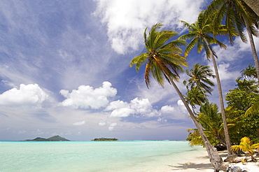 Bora-Bora, Leeward group, Society Islands, French Polynesia, Pacific Islands, Pacific