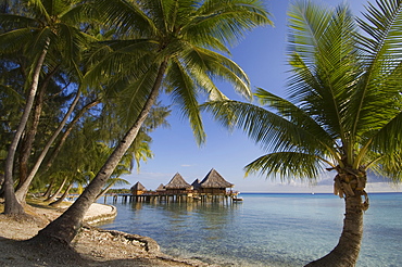 Kia Ora Resort, Rangiroa, Tuamotu Archipelago, French Polynesia, Pacific Islands, Pacific