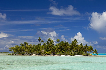 Blue Lagoon, Rangiroa, Tuamotu Archipelago, French Polynesia, Pacific Islands, Pacific