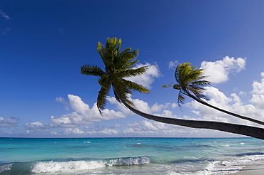 Fakarawa, Tuamotu Archipelago, French Polynesia, Pacific Islands, Pacific