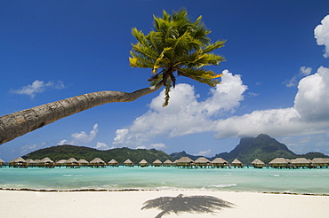 Pearl Beach Resort, Bora-Bora, Leeward group, Society Islands, French Polynesia, Pacific Islands, Pacific