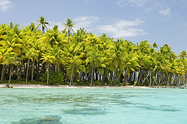 Bora-Bora, Leeward group, Society Islands, French Polynesia, Pacific Islands, Pacific