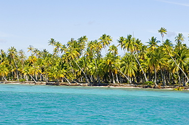 Tikehau, Tuamotu Archipelago, French Polynesia, Pacific Islands, Pacific