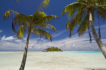 Blue Lagoon, Rangiroa, Tuamotu Archipelago, French Polynesia, Pacific Islands, Pacific