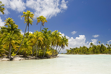 Blue Lagoon, Rangiroa, Tuamotu Archipelago, French Polynesia, Pacific Islands, Pacific