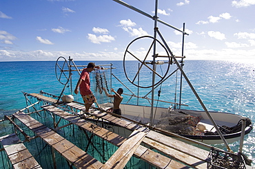 Hinano Black Pearl farm, Fakarawa, Tuamotu Archipelago, French Polynesia, Pacific Islands, Pacific