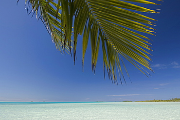 Fakarawa, Tuamotu Archipelago, French Polynesia, Pacific Islands, Pacific