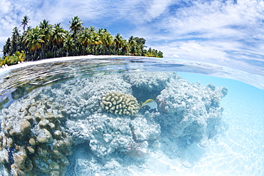 Fakarawa, Tuamotu Archipelago, French Polynesia, Pacific Islands, Pacific