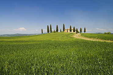 Countryside near Pienza, Val d'Orcia, Siena province, Tuscany, Italy, Europe