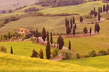 Road from Pienza to Montepulciano, Monticchiello, Val d'Orcia, Siena province, Tuscany, Italy, Europe