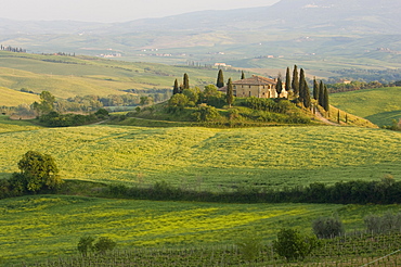 Country house, Il Belvedere, San Quirico d'Orcia, Val d'Orcia, Siena province, Tuscany, Italy, Europe