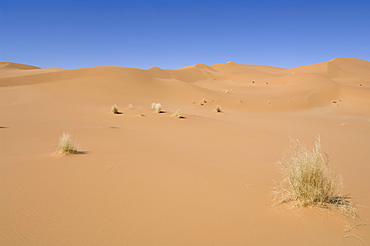 Akakus, Sahara desert, Fezzan, Libya, North Africa, Africa