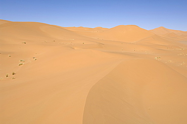 Akakus, Sahara desert, Fezzan, Libya, North Africa, Africa