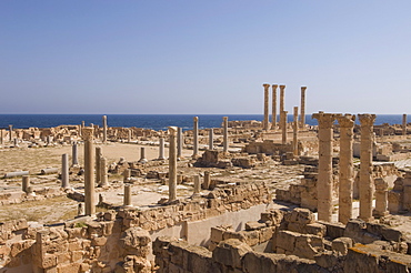 Sabratha Roman site, UNESCO World Heritage Site, Tripolitania, Libya, North Africa, Africa