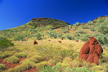 Mount Bruce and termite mounds, Karijini National Park, Pilbara, Western Australia, Australia, Pacific