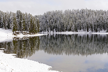 Yellowstone River in winter, Yellowstone National Park, UNESCO World Heritage Site, Wyoming, United States of America, North America