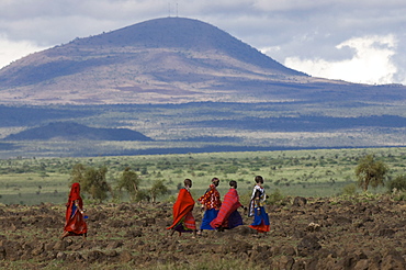 Masai, Amboseli National Park, Kenya, East Africa, Africa