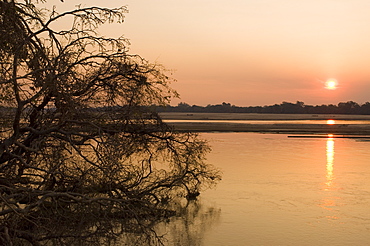 Luangwa River, South Luangwa National Park, Zambia, Africa