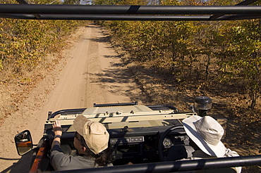 On safari, South Luangwa National Park, Zambia, Africa