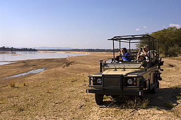 Game spotting on safari, South Luangwa National Park, Zambia, Africa