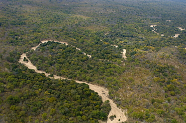 Luangwa River, South Luangwa National Park, Zambia, Africa