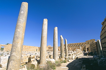 Severan Forum, Leptis Magna, UNESCO World Heritage Site, Tripolitania, Libya, North Africa, Africa