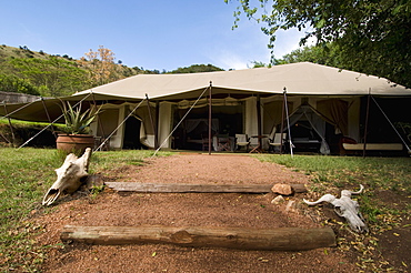 Cottars 1920 Safari Camp, Masai Mara National Reserve, Kenya, East Africa, Africa