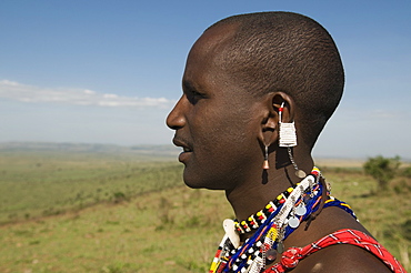 Masai man, Masai Mara, Kenya, East Africa, Africa