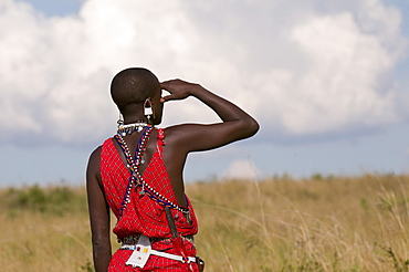 Masai man, Masai Mara, Kenya, East Africa, Africa